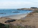 Coast 015